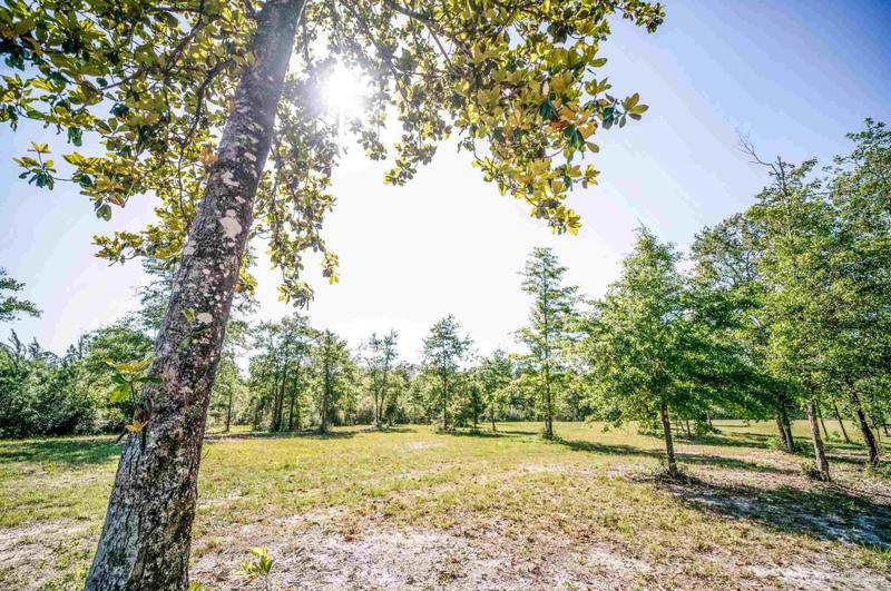 84 Buffalo Ridge Rd, Pace, FL 32571 - MLS 615755 for Sale