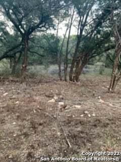 LOT 40 RESTLESS WIND, Spring Branch, TX 78070 for Sale