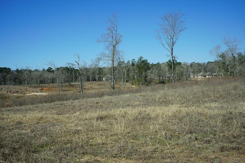 00010 Temple Lane, New Waverly, TX 77358 for Sale