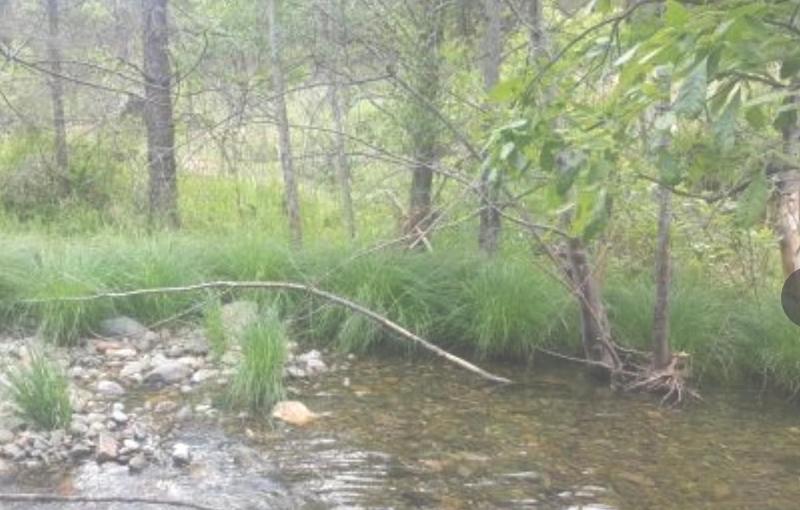 Weaverville, Trinity County, CA Recreational Property, Riverfront Property, Waterfront Property for sale Property ID: 417867220
