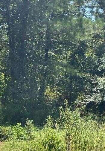 85 Top Notch Lane, Broken Bow, OK 74728  606905568 for Sale