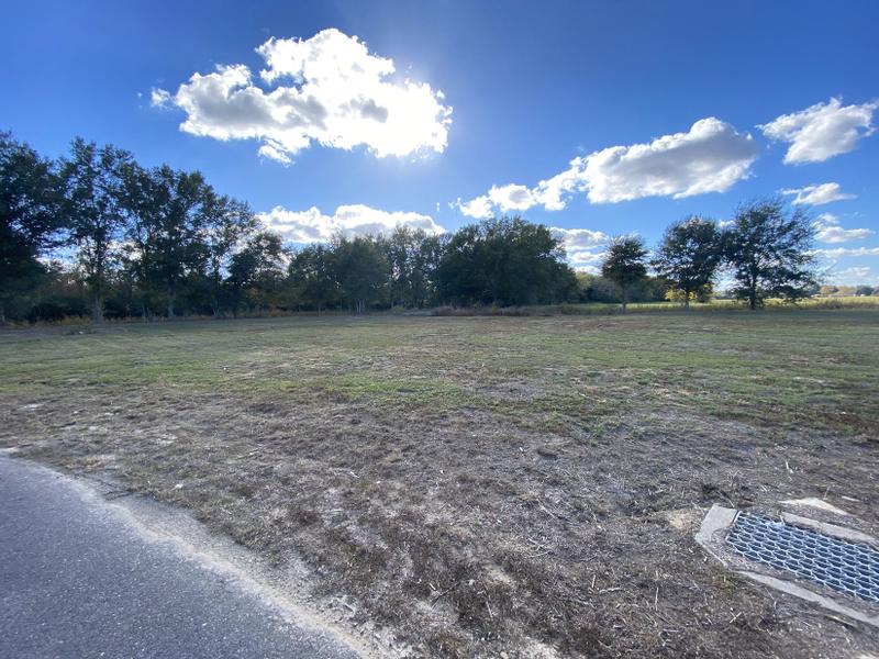 Iowa, Calcasieu Parish, LA Undeveloped Land, Homesites for sale Property ID: 418627148