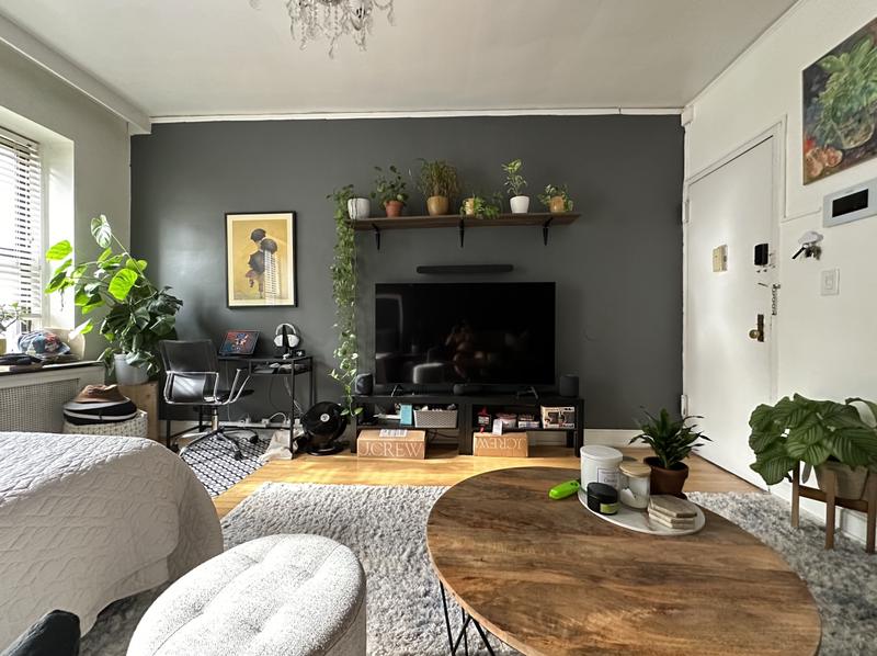 411 E 87th St #5A, New York, NY 10128 - MLS RPLU-606222789336 for Rent