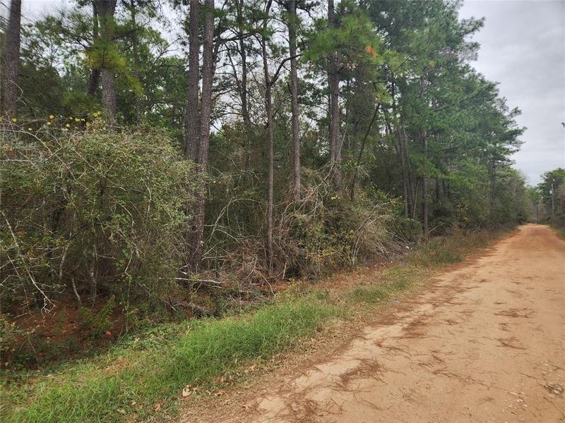 Lot 36 White Oak Dr, Plantersville, TX 77363 for Sale