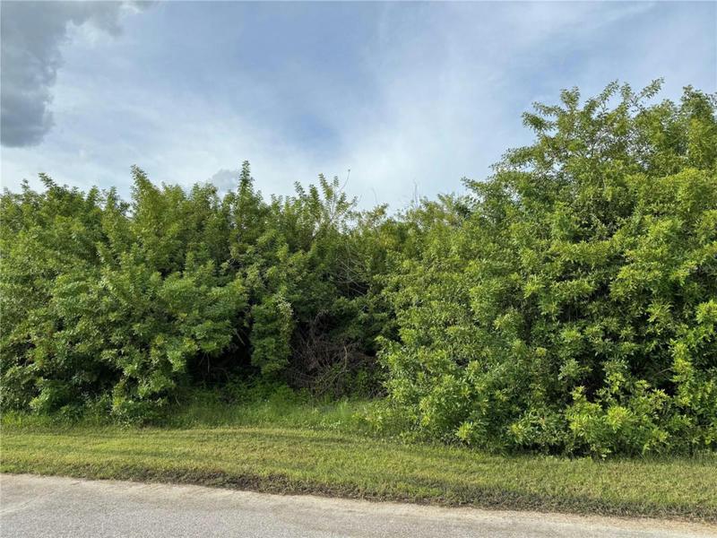12103 MUNN AVE, PORT CHARLOTTE, FL 33953 Land For Sale  MLS# C7482504