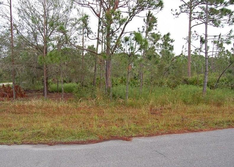 12022 Chapman Ave, Port Charlotte, FL 33953 - MLS O6080523 for Sale