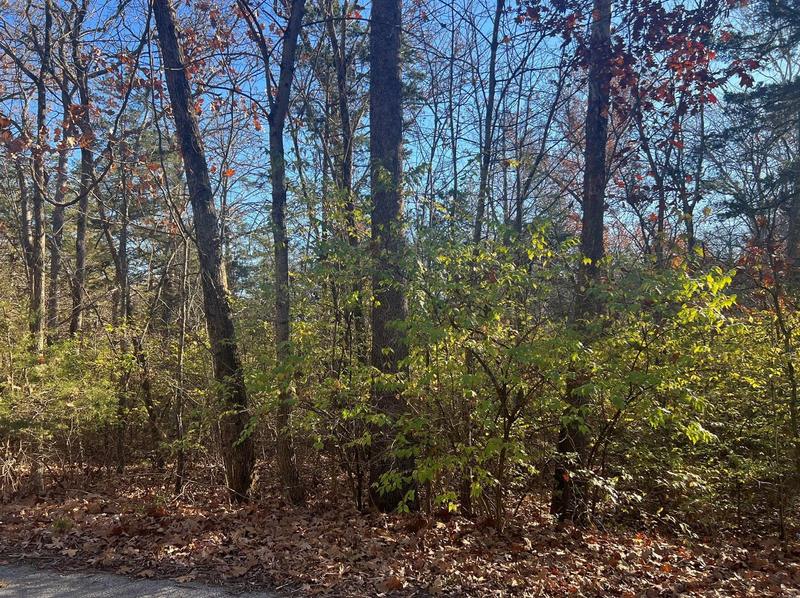 55 Deloris Dr, De Soto, MO 63020 - MLS 23067397 for Sale