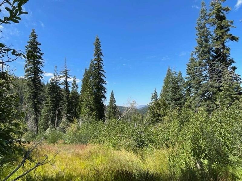000 Big Creek Rd, Bucks Lake, CA 95971  606808014 for Sale