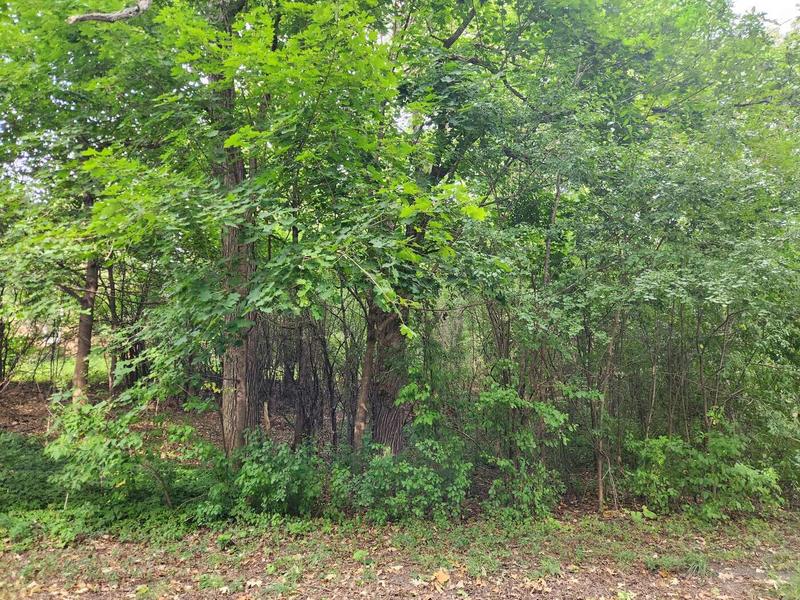 Lt3 Truman Ct, Burlington, WI 53105  602991323 for Sale