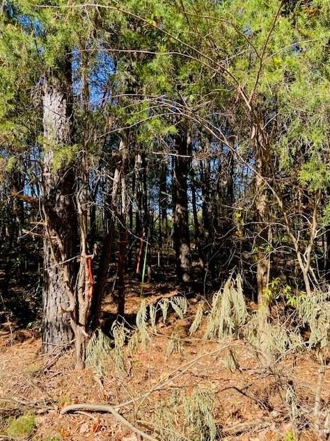 00 W North Corner Rd #A, Lancaster, SC 29720 - MLS 4085122 for Sale