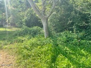 Newport, Carteret County, NC Undeveloped Land, Lakefront Property, Waterfront Property for sale Property ID: 416930803
