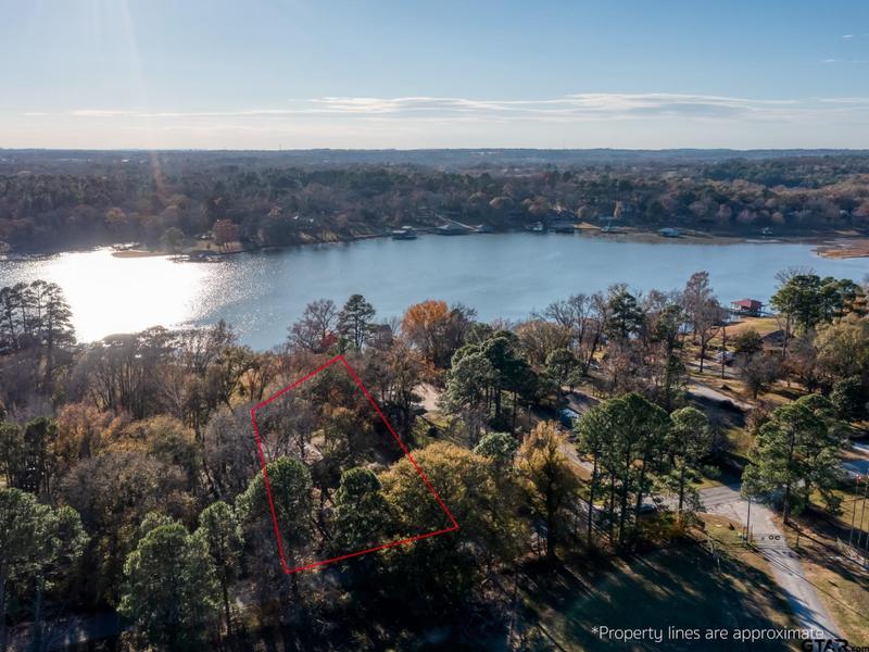 15606 Mc Elroy Rd, Whitehouse, TX 75791 for Sale
