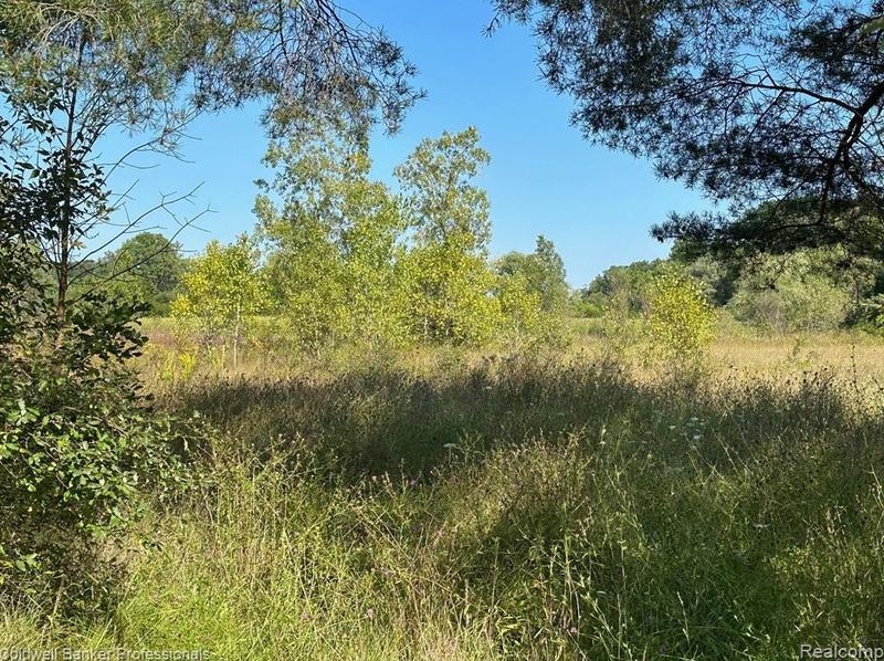 1001 S Vassar Rd, Davison, MI 48423 - MLS 20230078965 for Sale