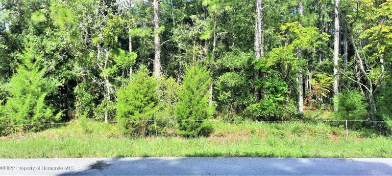 Spring Hill, Hernando County, FL Undeveloped Land, Homesites for sale Property ID: 414214260
