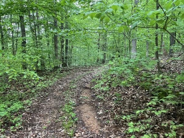 Bumpus Mills, Stewart County, TN Undeveloped Land for sale Property ID: 414066179