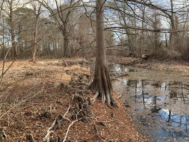 0 Hale Camp #4, Doyline, LA 71023 for Sale