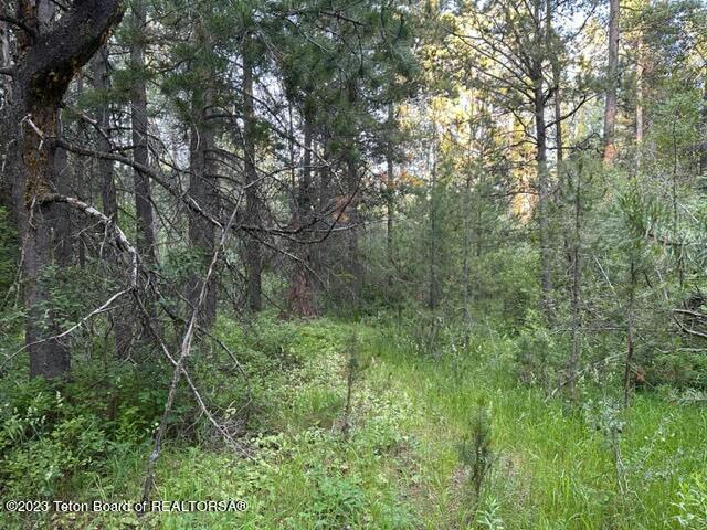 APRX 680 W 7000 SOUTH, Victor, ID 83455 Land For Sale  MLS# 23-1549