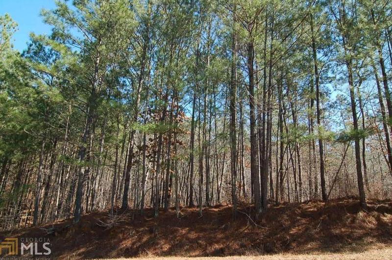 1480 Pullman Ln, Greensboro, GA 30642 - MLS 8927099 for Sale