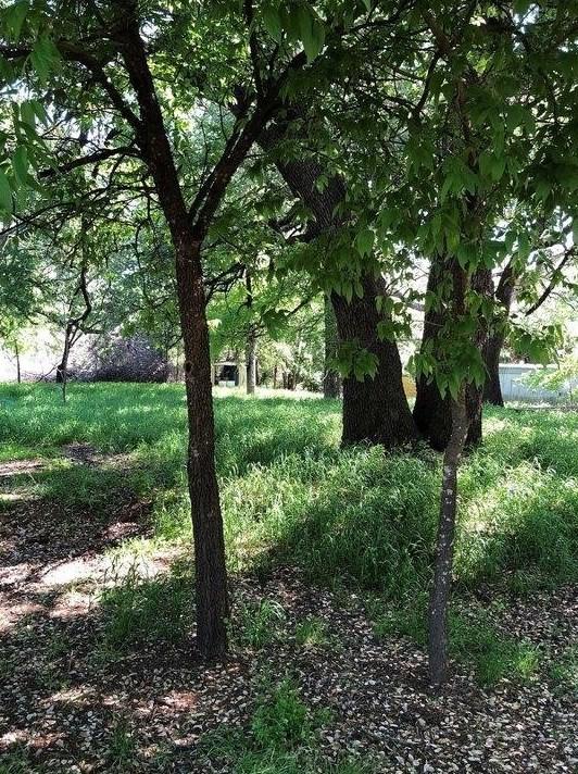 7118 Huron Trail, Weatherford, TX 76087 - MLS 20459663 for Sale