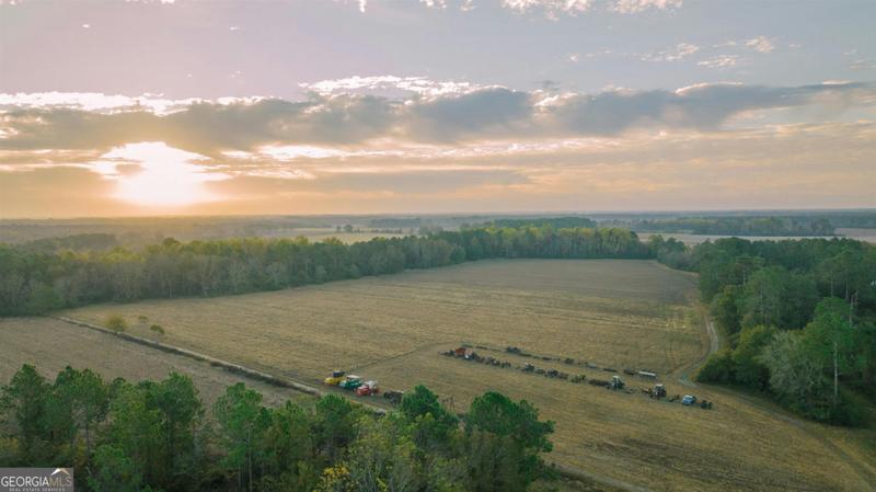772 FRANK RD, Fitzgerald, GA 31750 Farm For Sale  MLS# 20161915 for Rent