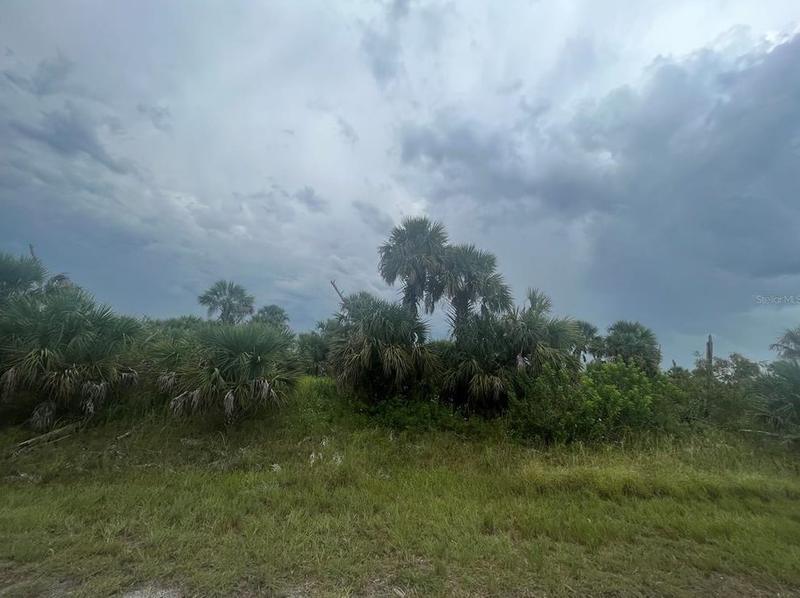 Firebird Rd, North Port, FL 34288 - MLS OK223141 for Sale