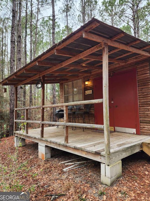 401 Cabin Trail, Surrency, GA 31563 - MLS 10229796 for Sale