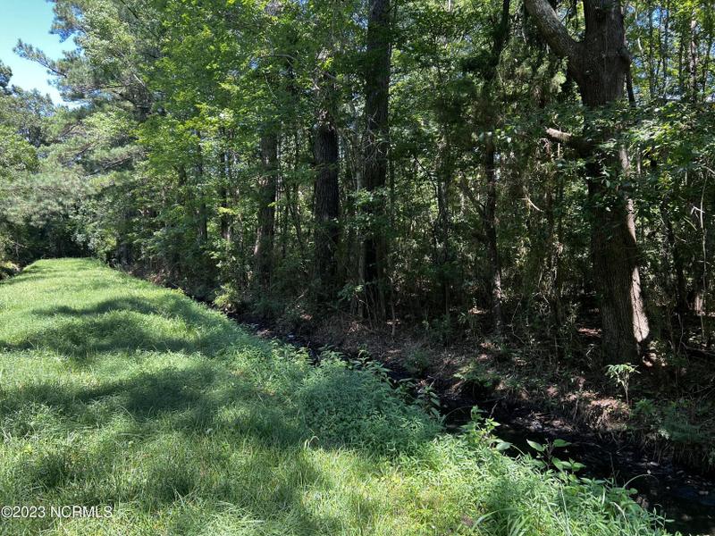 Belhaven, Beaufort County, NC Undeveloped Land, Homesites for sale Property ID: 417367149