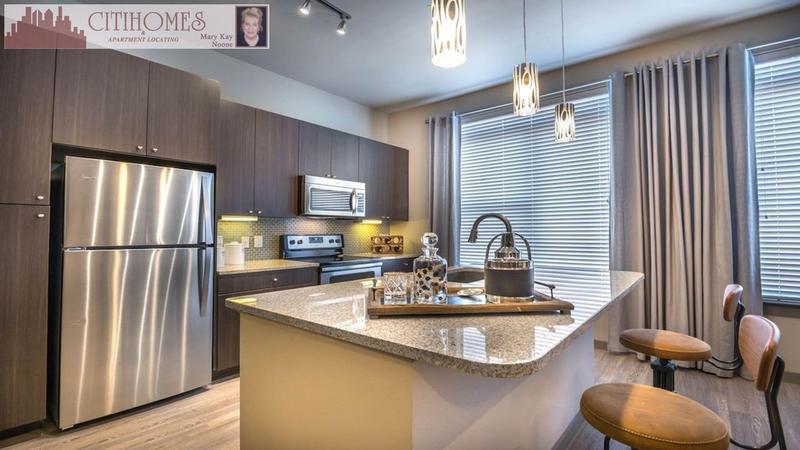 1040 Lehall Street, Houston, TX  1040 Hermann Park Area A for Sale