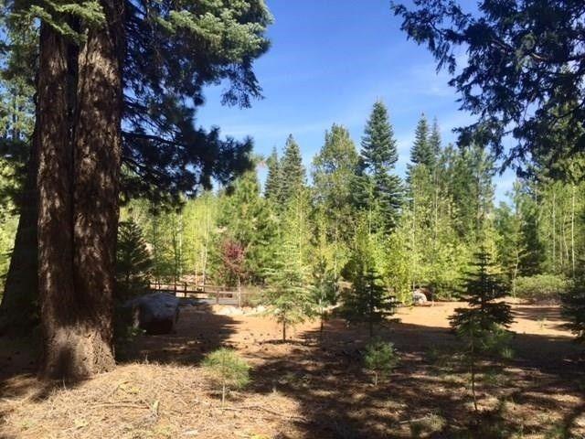 Lake Almanor, Plumas County, CA Homesites for sale Property ID: 416429883