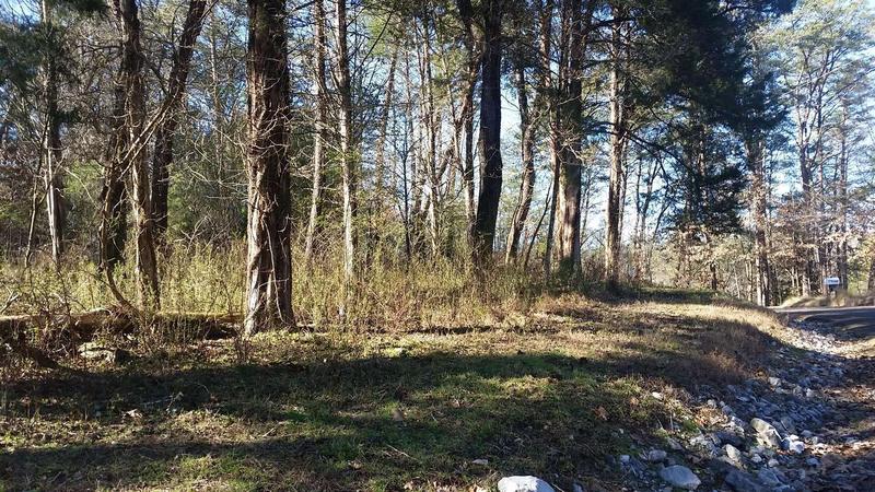 2010 Tahlequah Lane, Mooresburg, TN 37811  608229308 for Sale