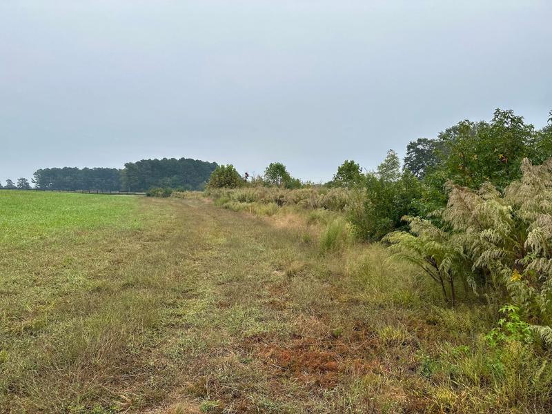 Zebulon, Franklin County, NC Farms and Ranches, Recreational Property for sale Property ID: 418083898