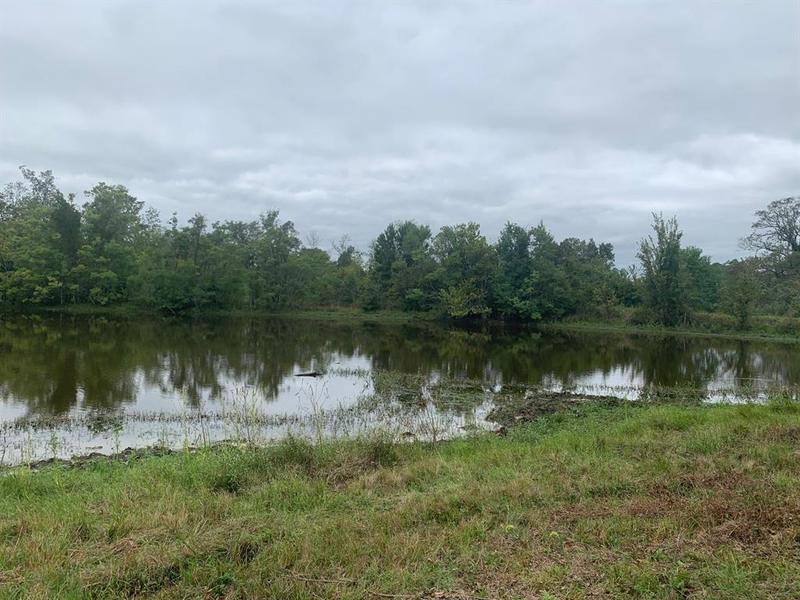25572 Johnson Rd, Montgomery, TX 77356 for Sale