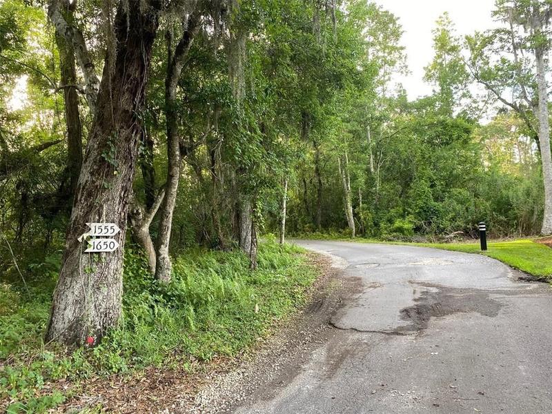 Tarpon Springs, Pinellas County, FL Undeveloped Land for sale Property ID: 414029468