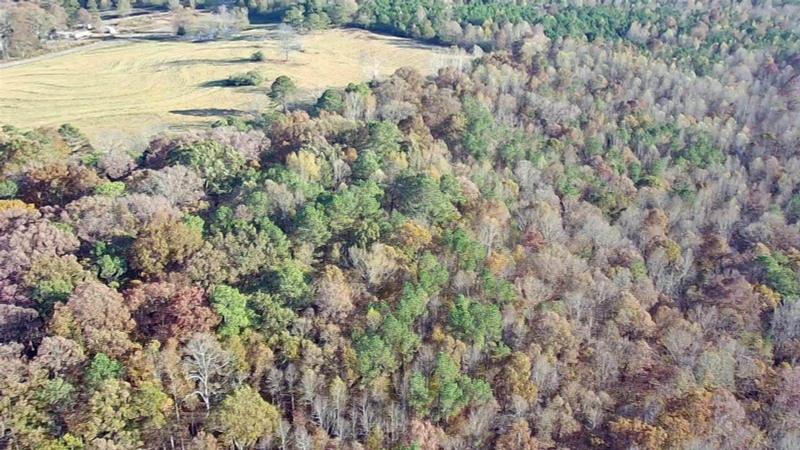 Vinemont, Cullman County, AL Undeveloped Land for sale Property ID: 418376030