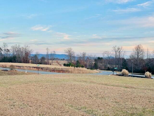 25 ROYAL TERN ST, Wirtz, VA 24184 Land For Sale  MLS# 903728