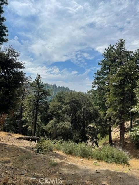 0 COCHRAN RD, Cedarpines Park, CA 92391 Land For Sale  MLS# EV22196824