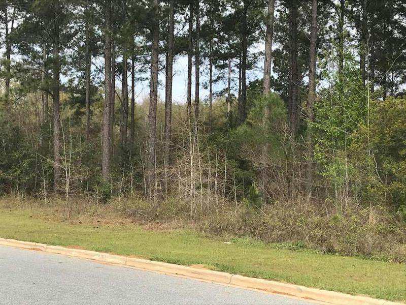 1712 RIVER POINTE DR, Albany, GA 31701 Single Family Residence For Sale  MLS# 148980