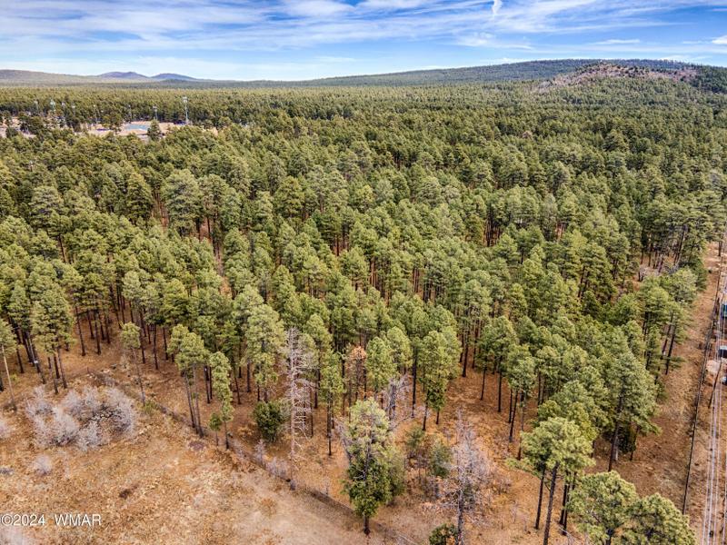 Lakeside, Navajo County, AZ for sale Property ID: 418617006