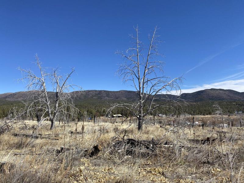 Timberon, Otero County, NM Recreational Property, Homesites for sale Property ID: 418641010