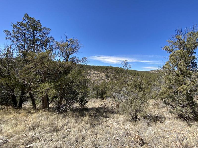 Timberon, Otero County, NM Recreational Property, Homesites for sale Property ID: 418641012