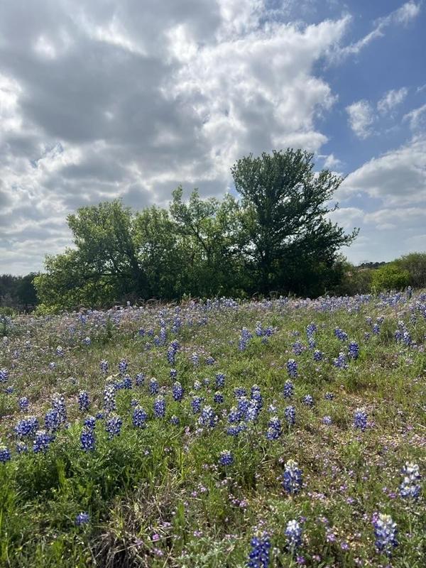 Escondido Lot C-60 La Serena Loop, Horseshoe Bay, TX 78657 for Sale