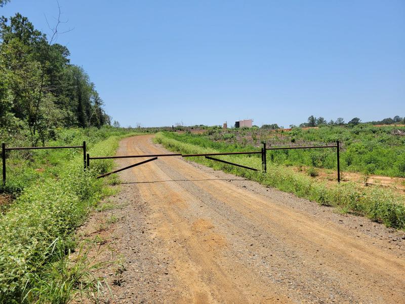 Linden, Cass County, TX Timberland Property, Undeveloped Land, Hunting Property for sale Property ID: 417046368