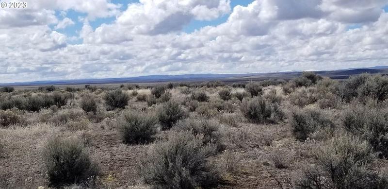 Christmas Valley, Lake County, OR Undeveloped Land for sale Property ID: 415858715