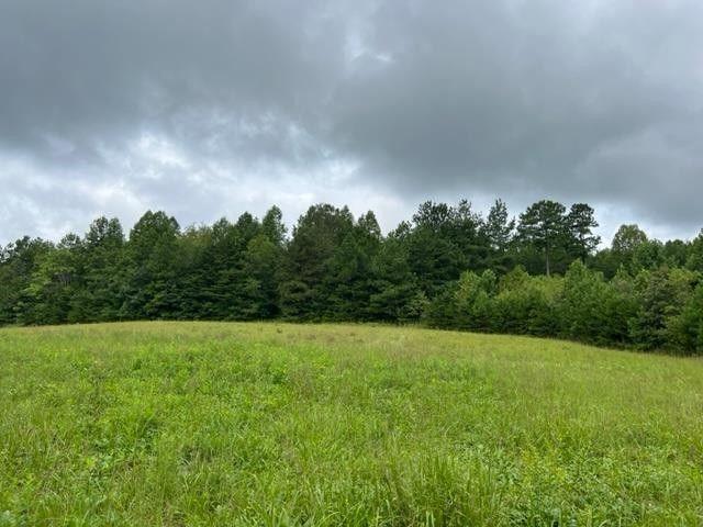 Appomattox, Appomattox County, VA Undeveloped Land for sale Property ID: 417521937