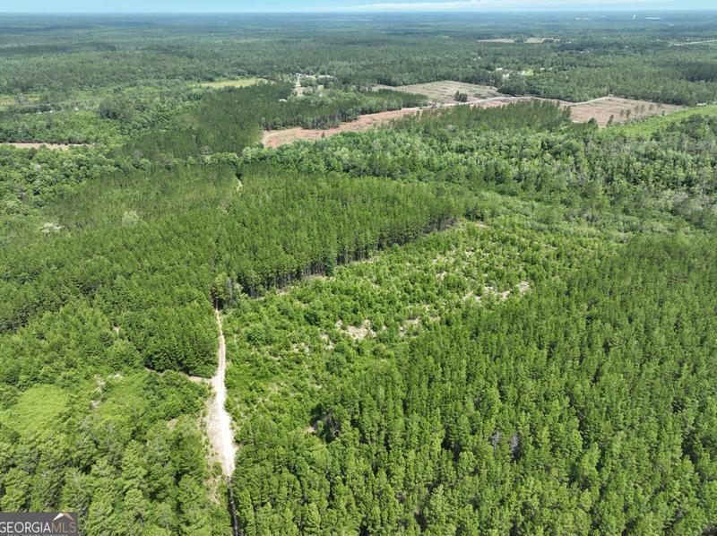 0 Brantley Rd, Jesup, GA 31546 - MLS 10241489 for Sale