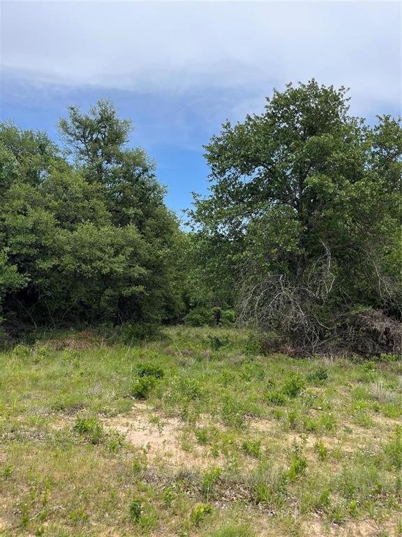 Lot 96 Kilkenny Rd, Poolville, TX 76487 for Sale