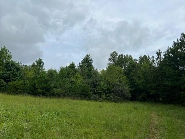 Appomattox, Appomattox County, VA Undeveloped Land for sale Property ID: 417521939