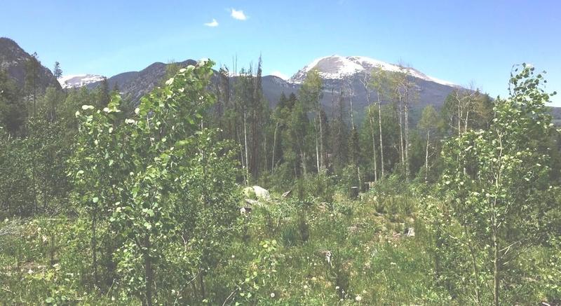 Vail, Eagle County, CO Recreational Property for sale Property ID: 418068534