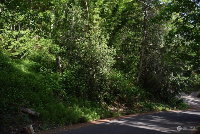 Gig Harbor, Pierce County, WA Undeveloped Land, Homesites for sale Property ID: 418342135