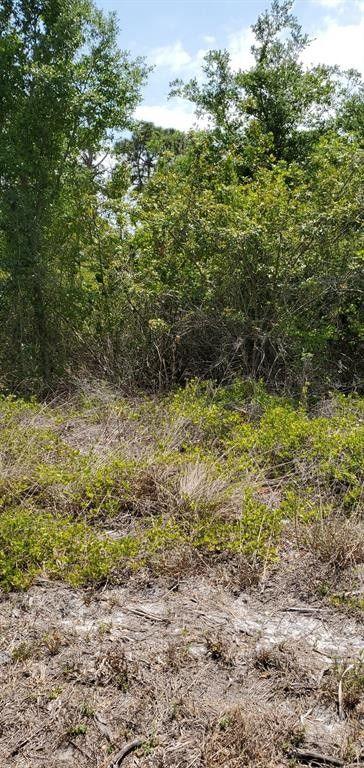 Port Charlotte, Charlotte County, FL Undeveloped Land, Homesites for sale Property ID: 413436631